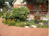 Pictures of Garden Arts Center Lubbock
