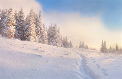 Beautiful Winter Morning Stock Image Image Of Frozen 27912739