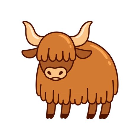Yaks Pic Illustrations Royalty Free Vector Graphics And Clip Art Istock