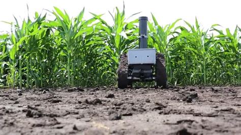 Agricultural Robot May Be ‘game Changer For Crop Growers Breeders