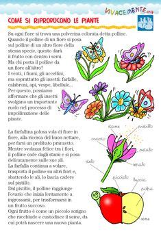 La catena alimentare other contents: La catena alimentare | Scienze | Pinterest | Scienza ...
