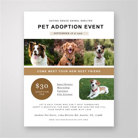 Pet Adoption Flyer Template Lupon Gov Ph