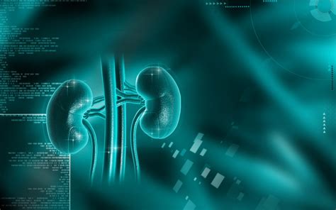 Your kidneys filter wastes and excess fluids from your blood, which are then excreted in your urine. Chronic Kidney Disease Biomarker Seen to Enable Early ...