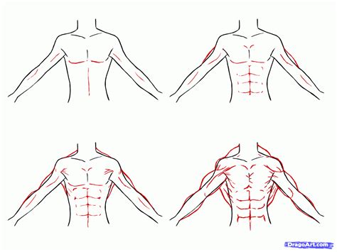 How To Draw Anime Body Male Easy Anime Body Male Muscular Draw Step Drawing Sketch Muscles Abs