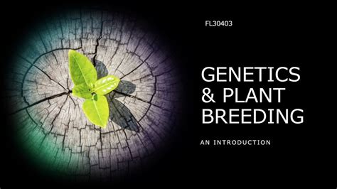 Fl30403 Plant Breeding And Genetics Lecture 1 Youtube