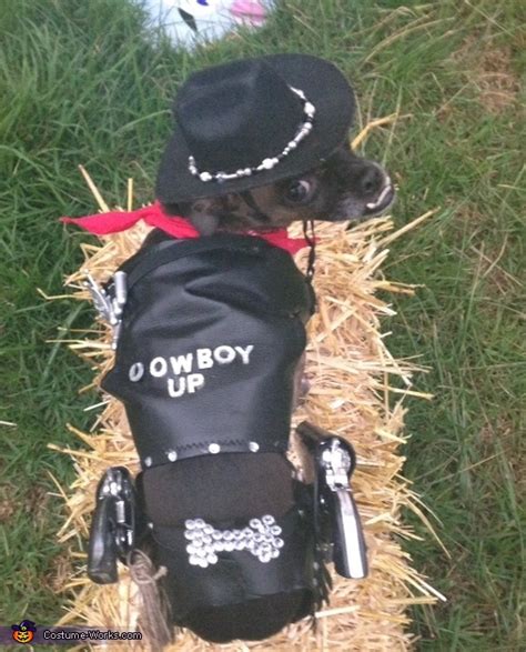 Diy Cowboy Dog Costume Photo 22