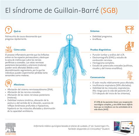 Os sintomas principais da síndrome de guillain barré são fraqueza muscular ascendente: Síndrome de Guillain-Barré: síntomas y causas