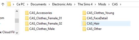 Sims 4 Organize Mods Folder Voltwin