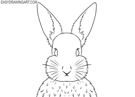 How To Draw A Rabbit Face Easy Drawing Art