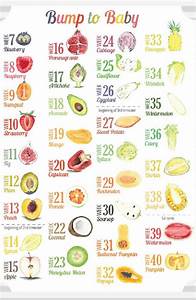 An Illustrated Poster Showing The Number Of Different Fruits And Vegetables