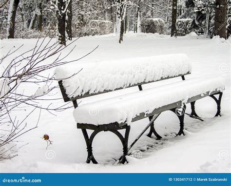 Snow Covered Bench In The Park Stock Photo Image Of Forest Side