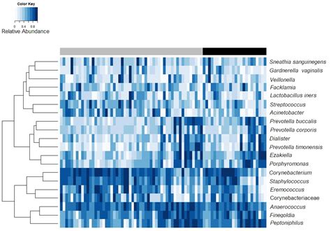 The Microbiome Composition Of A Mans Penis Predicts Incident Bacterial