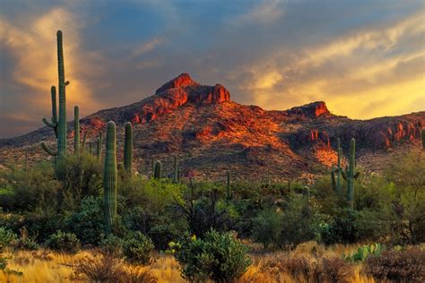 Arizaona Desert Sunset At Gold Canyon Fine Art Photo Print Photos By