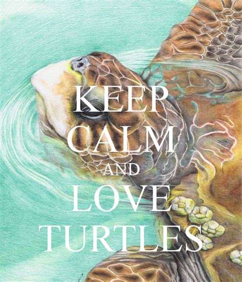 Keep Calm And Love Turtles Turtle Art Sea Turtle Art Turtle