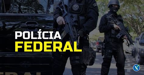 Saiba como é o processo para ingressar na polícia federal e veja quais cursos de graduação são exigidos pelo concurso. Polícia Federal - PF: Notícias atualizadas e análise de edital