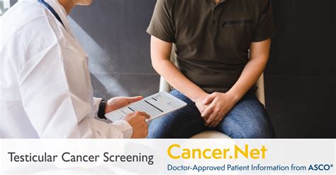 Testicular Cancer Screening Cancer Net