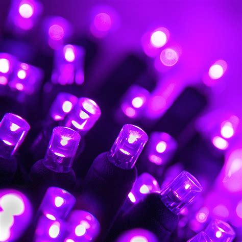 70 Premium Grade Purple Led Mini Lights 24 Long Life Connectable For