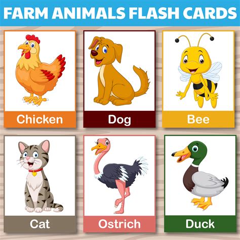 24 Farm Animals Cards Montessori Flashcards Cute Farm Animals