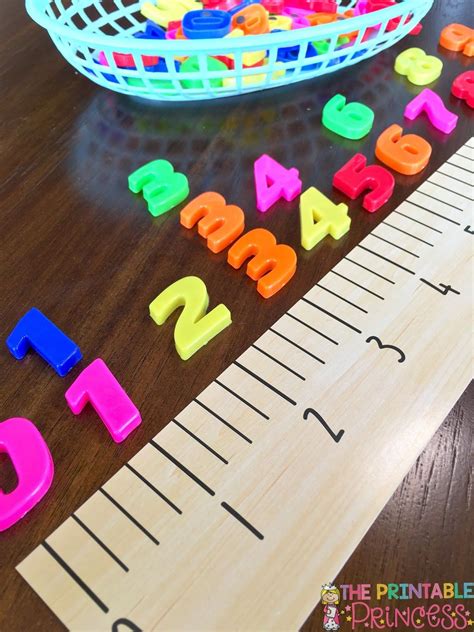 Number Sense for Kindergarten | Kindergarten math, Preschool math, Number sense