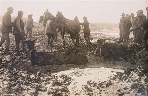 Ww1 Photographs Reveal The Reality Of Life On The Western Front Daily