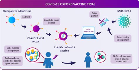 Vaccines are available at no cost to you. About the Oxford COVID-19 vaccine | Research | University ...