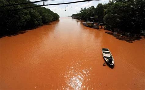 Polluted water must be treated before entering rivers or lakes, wastewater recycled for irrigation, and wetlands restored to remove pollution from runoff water. Bauxite mining Ban is again Extended - Clean Malaysia