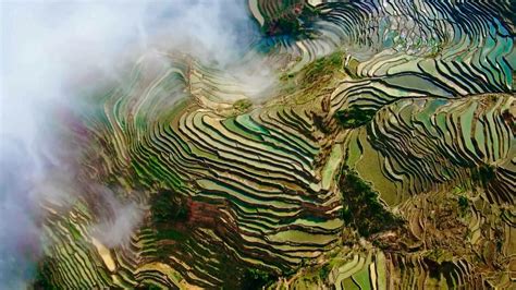 Give it a try now! Best time to see the magical Hani terraces in SW China's ...