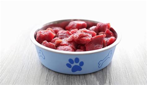 Deliver within 3 business days. 11 Best Commercial Raw Dog Food Brands (Fresh, Frozen ...