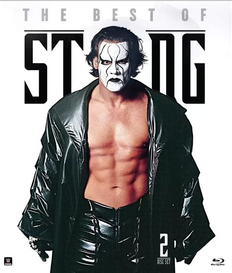 Wwe Legend Mick Foley On His Match With Sting