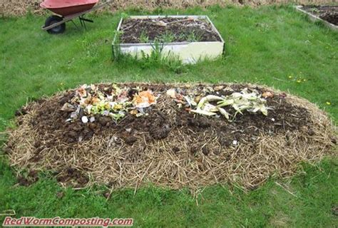The name lasagna gardening is actually the method of building the garden. Lasagna Gardening-05-18-11 | Red Worm Composting