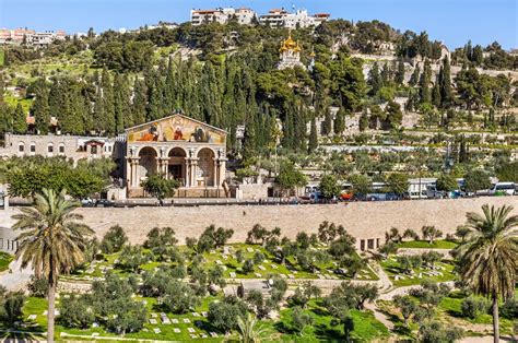Tripadvisor has 5,330 reviews of olivos hotels, attractions, and restaurants making it your best olivos resource. El monte de los Olivos, conoce su historia - Unidos x Israel