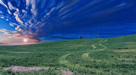 480x480 Field Horizon Sky 480x480 Resolution Wallpaper Hd Nature 4k