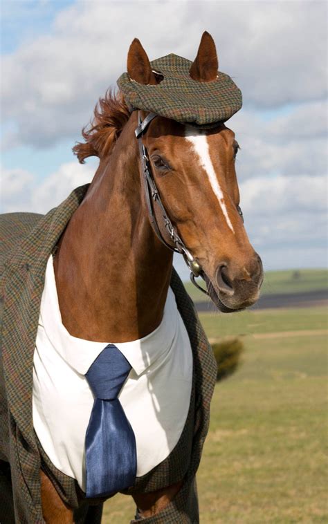 A Horse Wore A Suit Today Gq