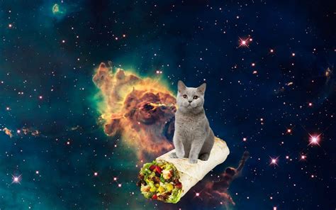 Finally An Hd Image Of A Cat Flying Through Space On A