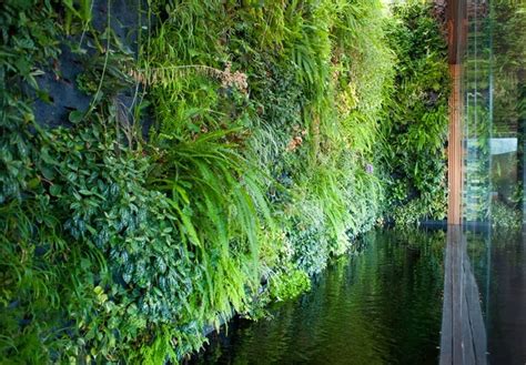 Dirtbin Designs Tropical Gardens I Love