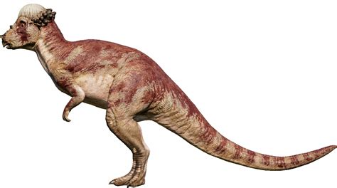 Pachycephalosaurus Jurassic World Evolution Wiki Fandom In 2021 Jurassic World Evolution