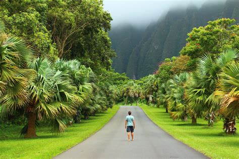 30 Things to Do in Oahu, Hawaii - Vagamundeando