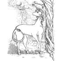 Realistic Winged Unicorn Unicorn Coloring Pages : More mythological