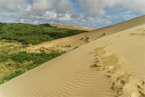 Duna Di Sabbia Con Le Orme Sotto Il Cielo Nuvoloso Dune Di Sabbia