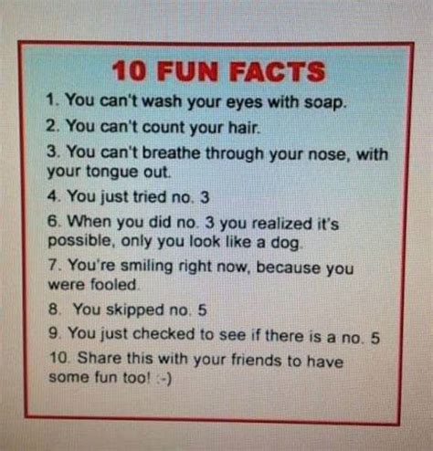 10 Fun Facts To Make You Laugh And Take Life Less Seriously Sunless