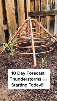 Gardening Techniques, Garden Layout, Thunderstorms, Vegetable Garden