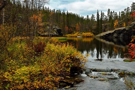 Wallpaper Lapland Region Finland Autumn Nature Forest River Shrubs