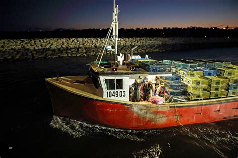 Lobster Season Begins Dumping Day 2019 Yarmouth Lobster Fishing