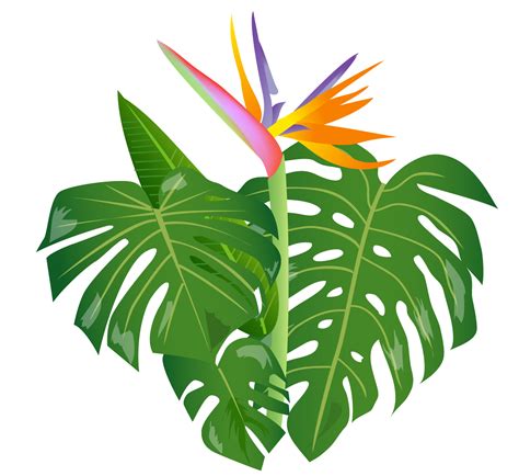 Rainforest Clipart Animated Rainforest Animated Transparent Free For