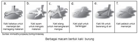 Check spelling or type a new query. Penyesuaian Diri Makhluk Hidup terhadap Lingkungannya ...