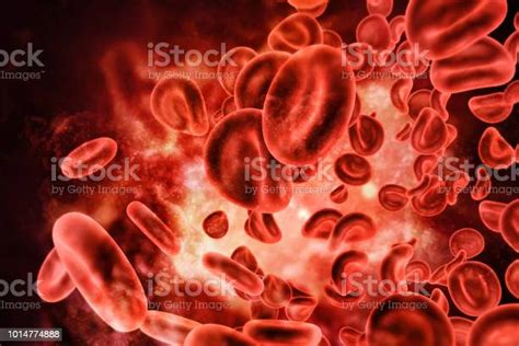 Blood Cells Stock Photo Download Image Now Istock
