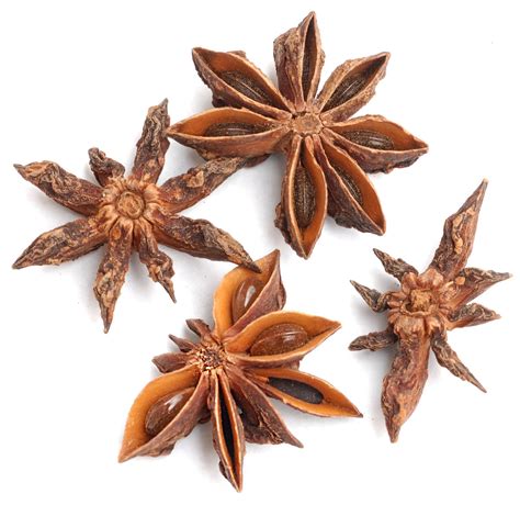 Biodiversity Heritage Library for Europe: Spice of the Week: Star aniseed