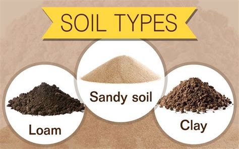 What Are The Best Types Of Soil For Planting Gardens Nursery Types