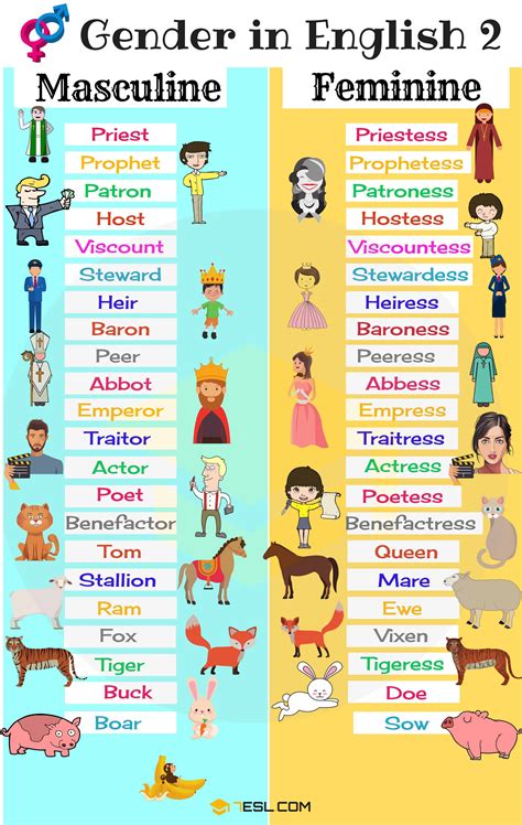 Gender Of Nouns Masculine And Feminine List In English Learn English