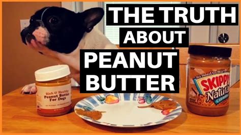 Is Peanut Butter Good For Dogs Youtube